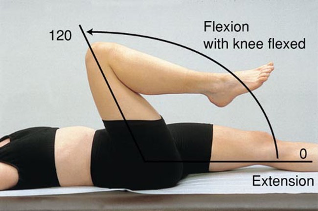 The best diagram I could find for hip flexion